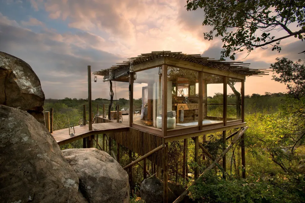 Lion sands treehouse hotel